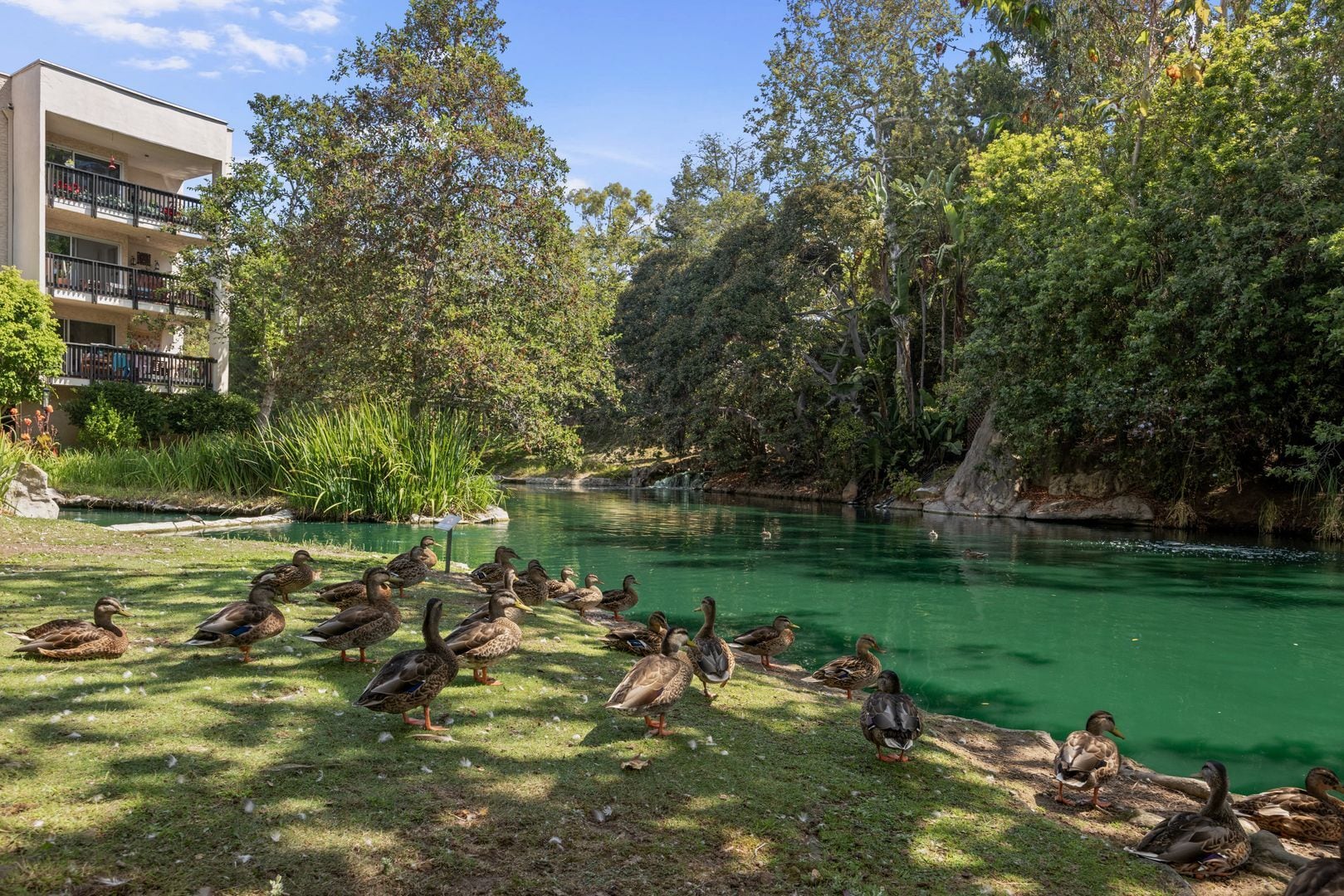 Building Photo - Resort-Style 2-Bed, 2-Bath Condo with Lake...