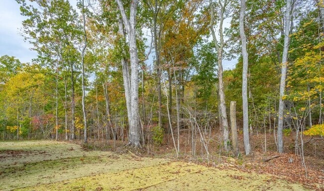 Building Photo - 6414 Satjanon Dr