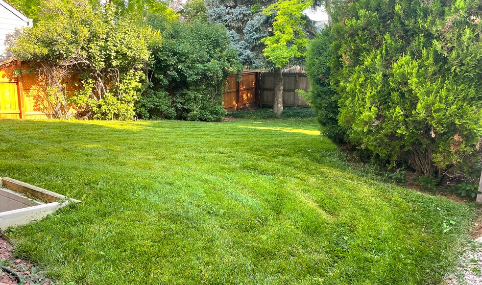 Back Yard - 421 W Sycamore Ct