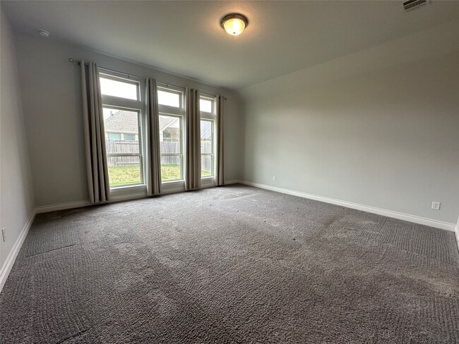 Building Photo - 16343 Silver Emperor St