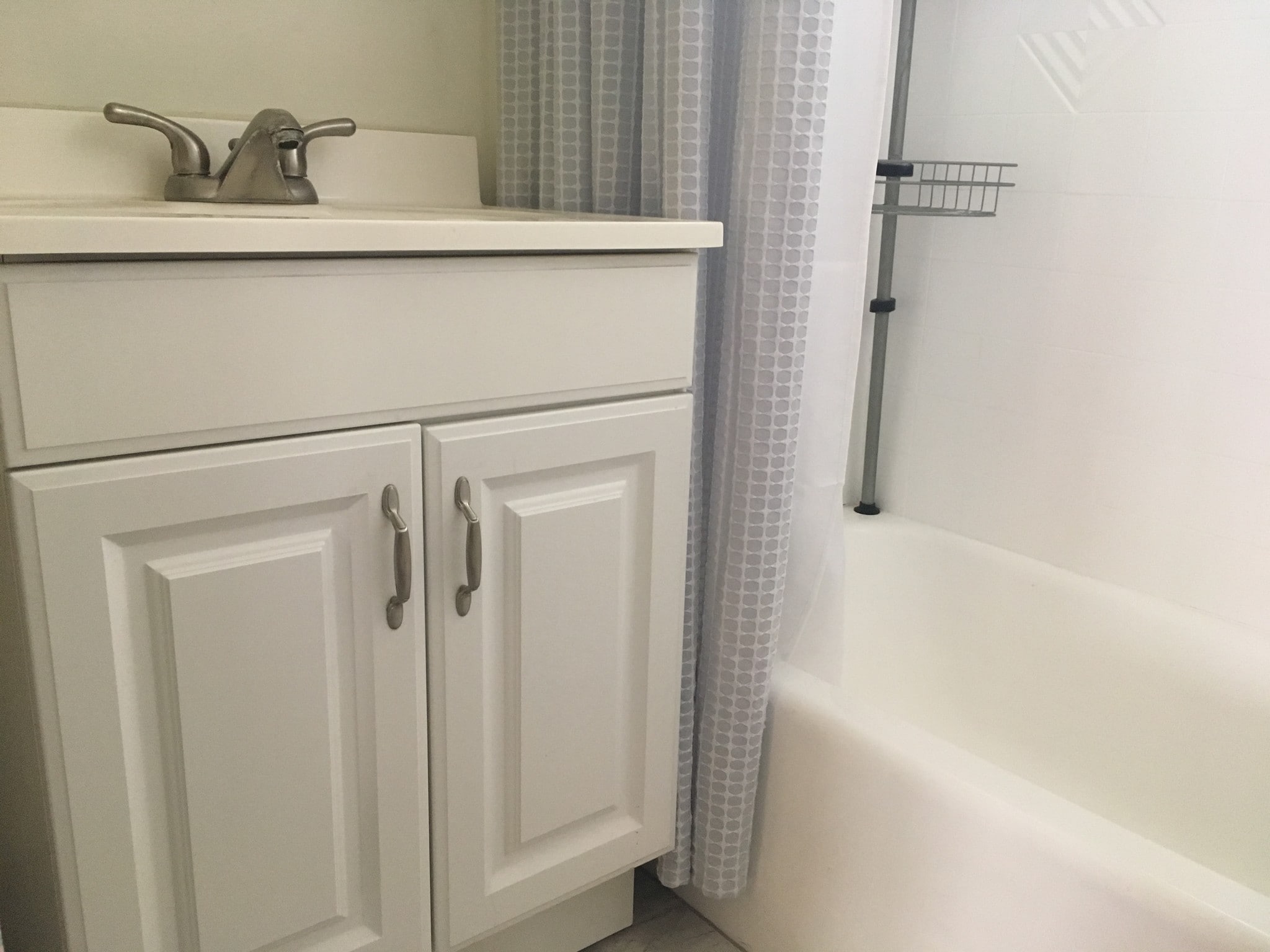 Bath storage (additional closet not shown) - 1318 N Martel Ave