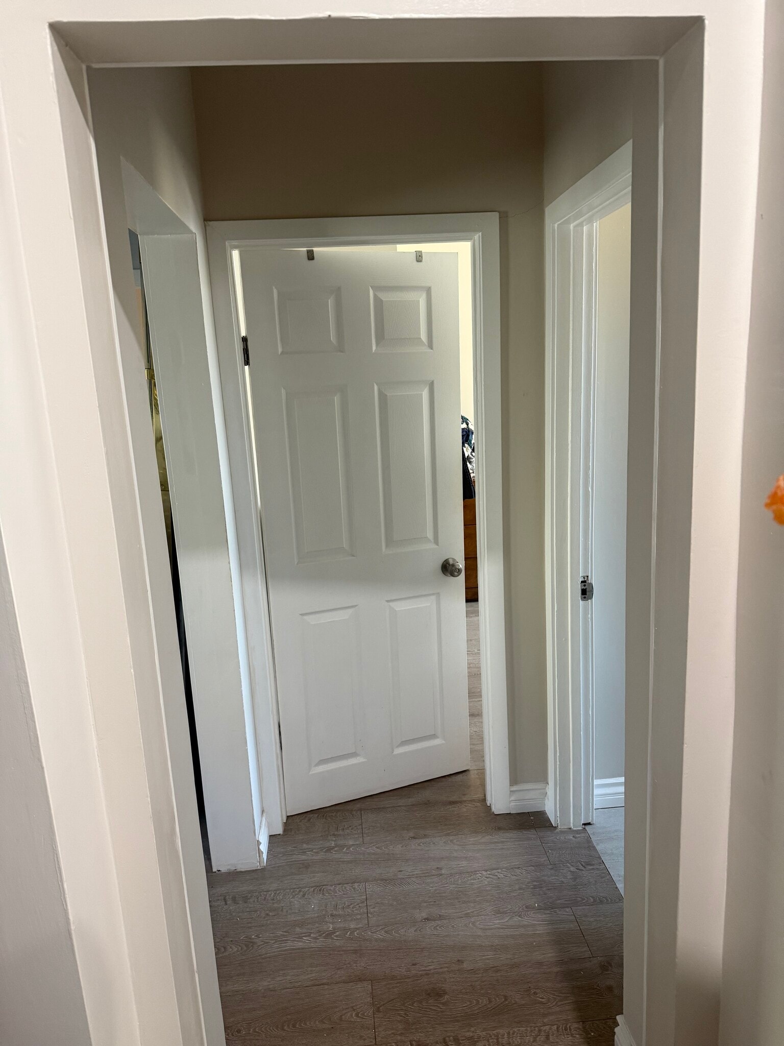 Hallway - 231 Columbia Pl
