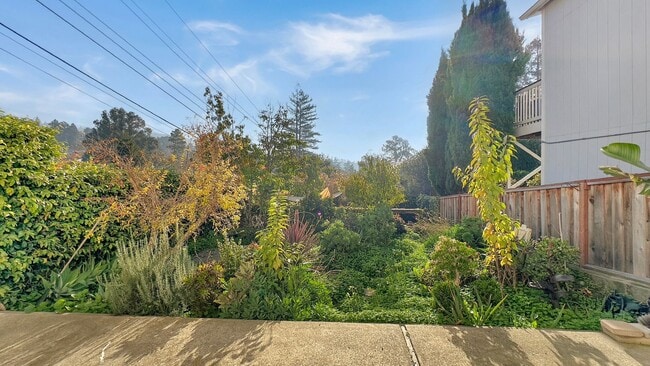 Building Photo - Spacious, Bright & Private Home with Huge Backyard on one of the quietest streets of Redwood Heights