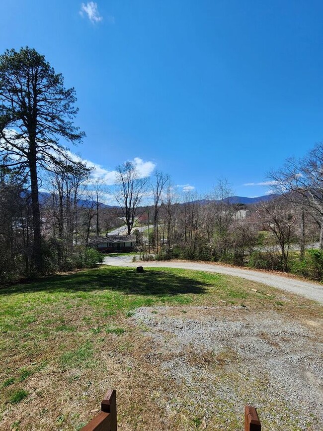 Building Photo - LOCATION! Black Mountain Log Cabin with a ...