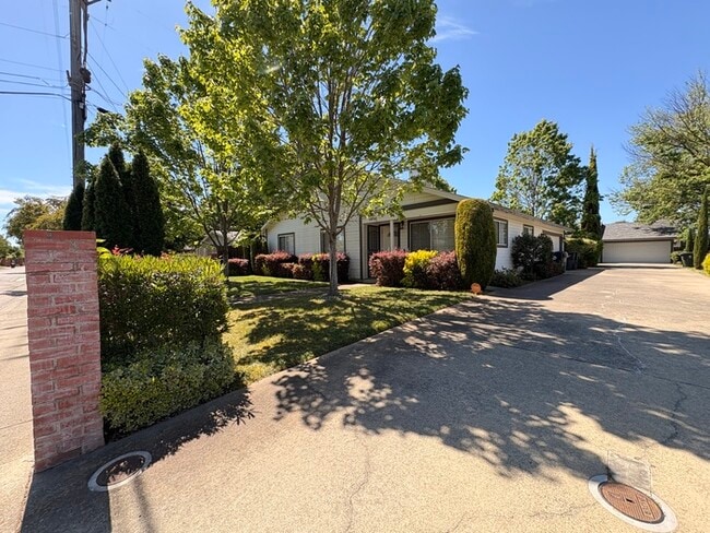 Building Photo - Beautifully Updated 3/2! Backyard, 2 Car Garage! Modern and Clean!