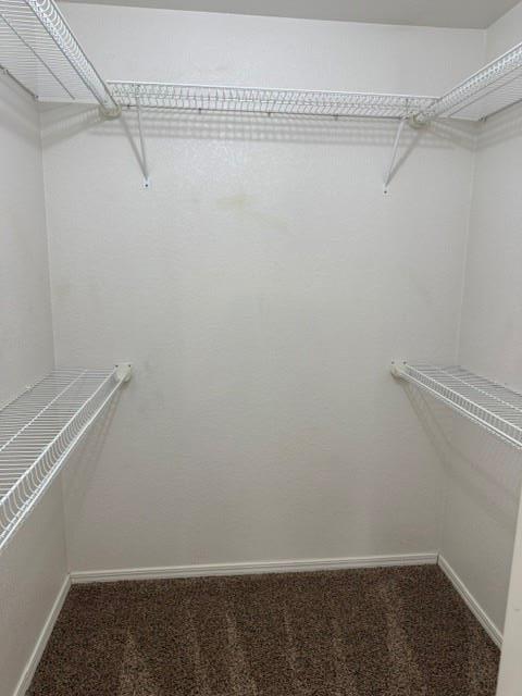 Building Photo - 1617 High Cir