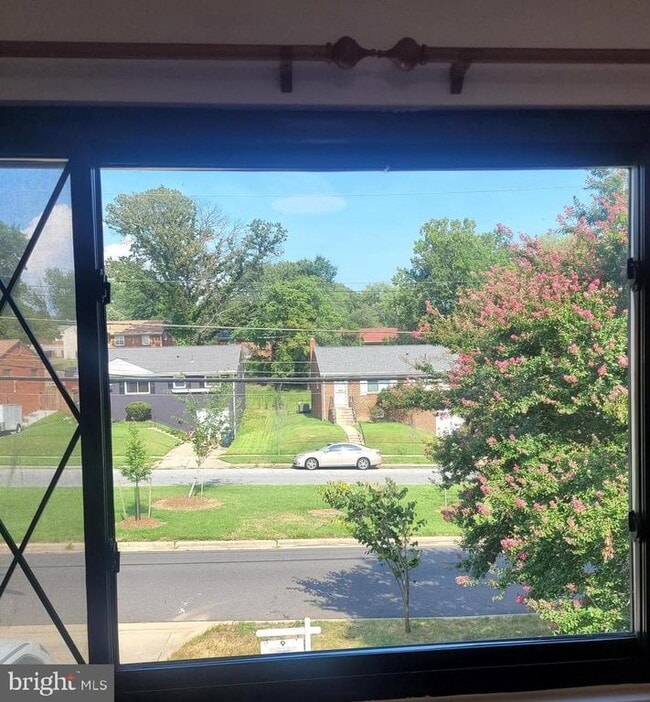 Building Photo - 4203 Lyons St