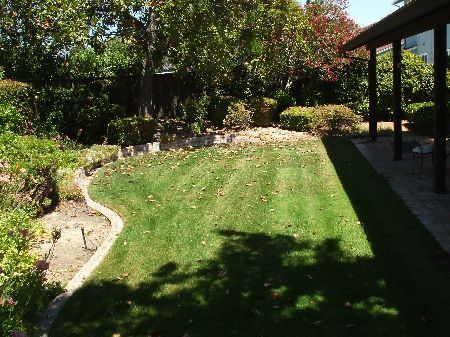 Building Photo - Spacious 4 Bed/ 2 bath Home in Prime Pleasanton Neighborhood – Walk to Schools & Parks! New paint...