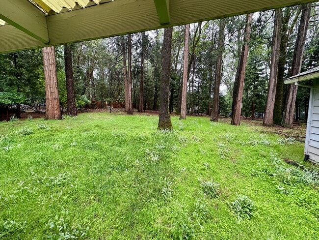 Building Photo - Spacious 4 Bedroom House on Banner Lava Cap Rd