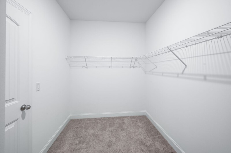 Building Photo - 1613 Lampwick Ct