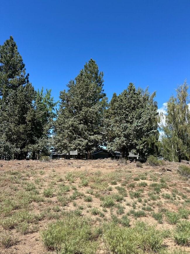 Building Photo - 3 Bed | 2 Bath | 1.17 Acres | Single-Level Home | Mountain Views