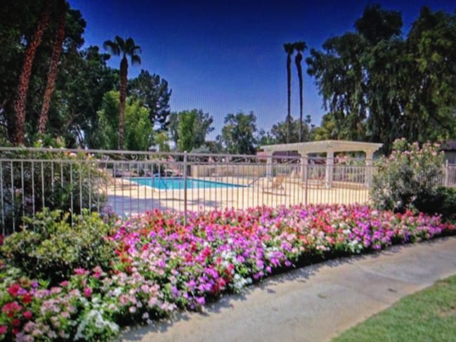 community pool - 41785 Largo