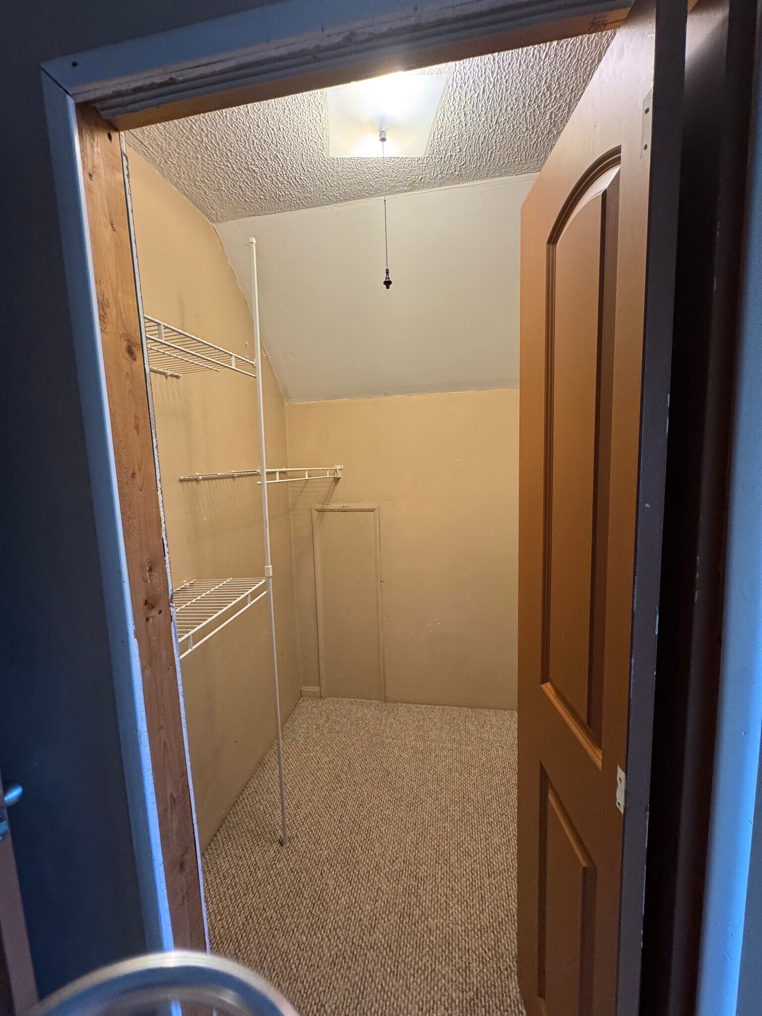 Master Walk-in closet (partial view) - 443 W Loveland Ave
