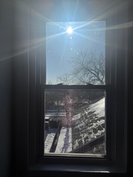Plenty of light - 362 Brunswick Ave