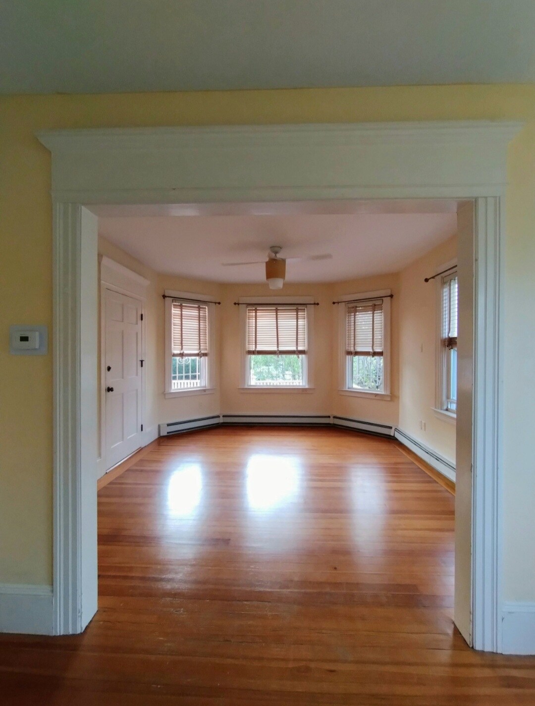 Building Photo - 151 Ivy St