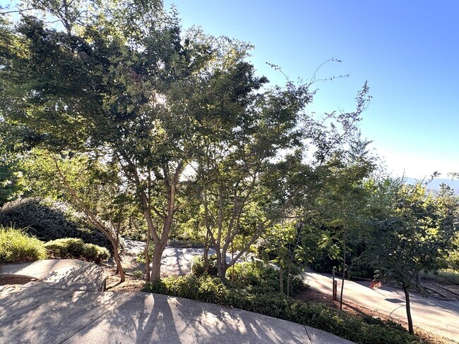 Building Photo - 146 Northridge Dr
