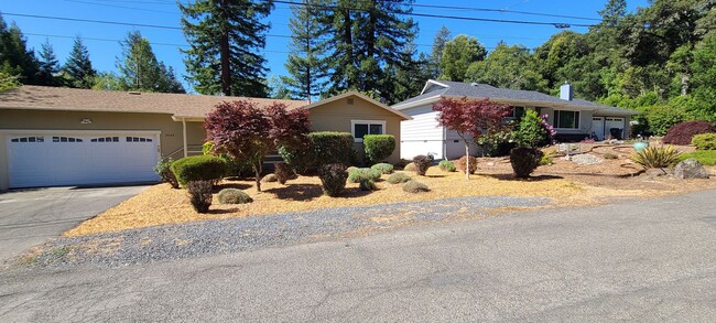 Building Photo - Walking Distance to Downtown Sebastopol