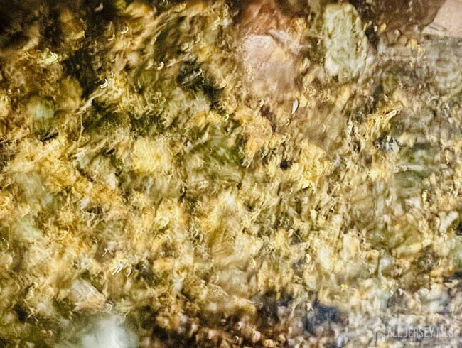 Building Photo - 1 Spring St