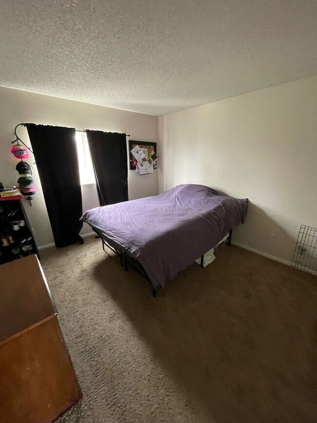 Building Photo - Beautiful Split Level Home in Waneka Lake ...