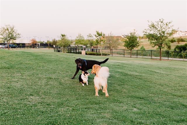 Building Photo - 14225 Walsh Ave
