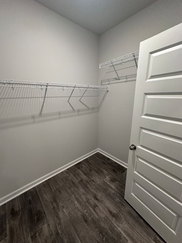 Building Photo - 241 Brackish Dr