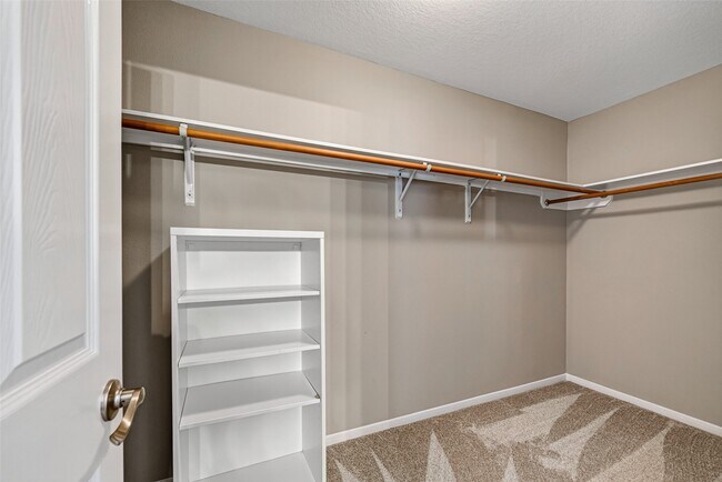 Building Photo - 4915 Ibis Lake Ct