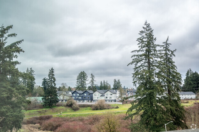 1BR, 1BA, - 550SF - View - Cedar Park Apartments