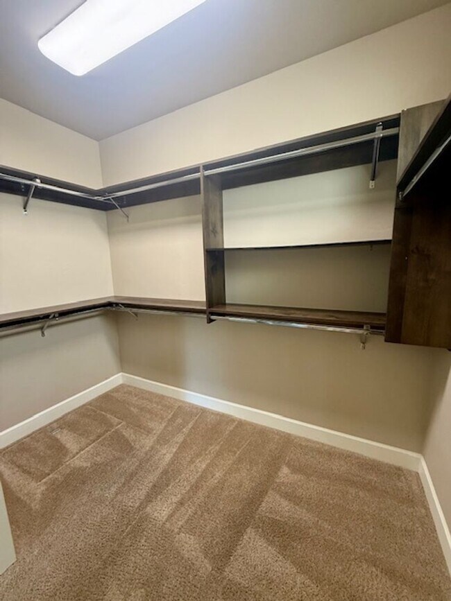 Building Photo - Luxury Home in Stonegate with Community Pool!