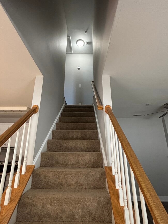 Building Photo - 917 Shearer St