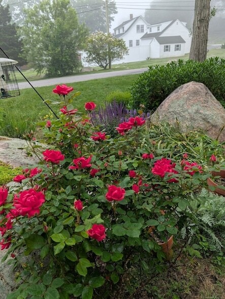 Building Photo - 24 Warren Ave