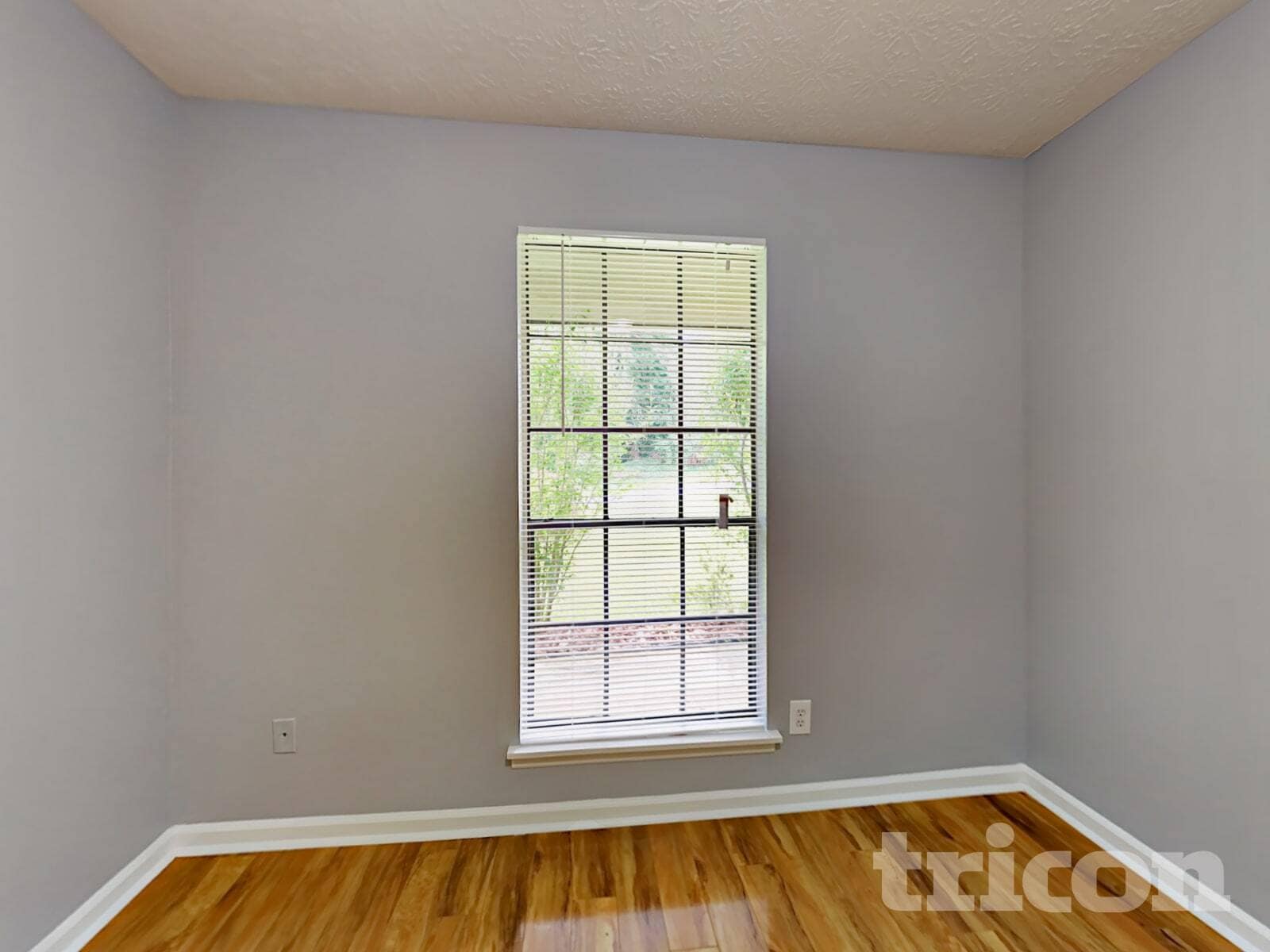 Building Photo - 1370 High Country Ct