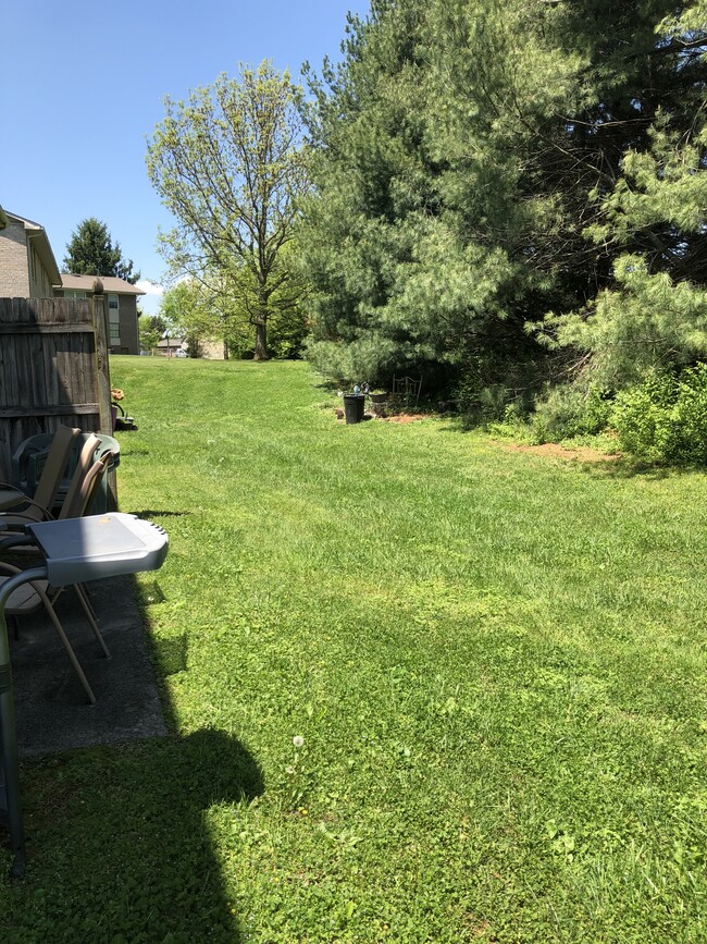 Backyard off patio/ kitchen - 110 Stonetree Drive