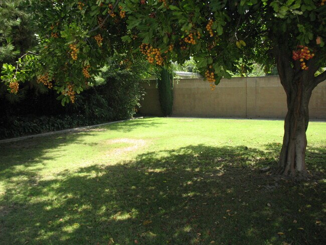 Backyard shady rest - 3121 W Wyoming Ave