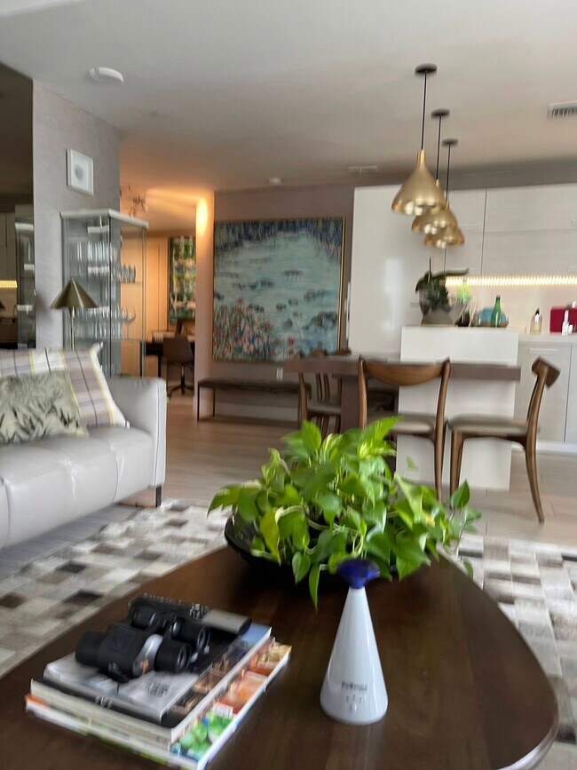 LIVING - 45 SW 9th St