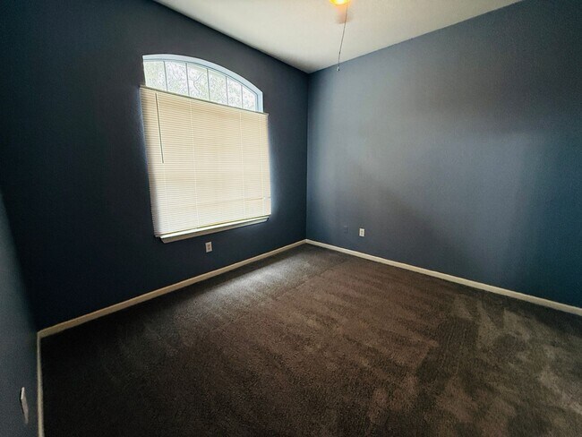 Building Photo - Newly painted Two Bedroom, Two Bathroom For Rent in New Tampa