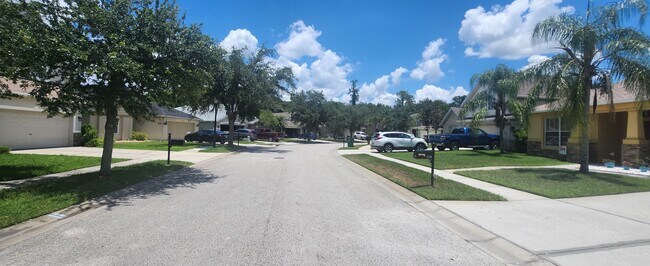 Quiet Street - 6739 Bluff Meadow Ct