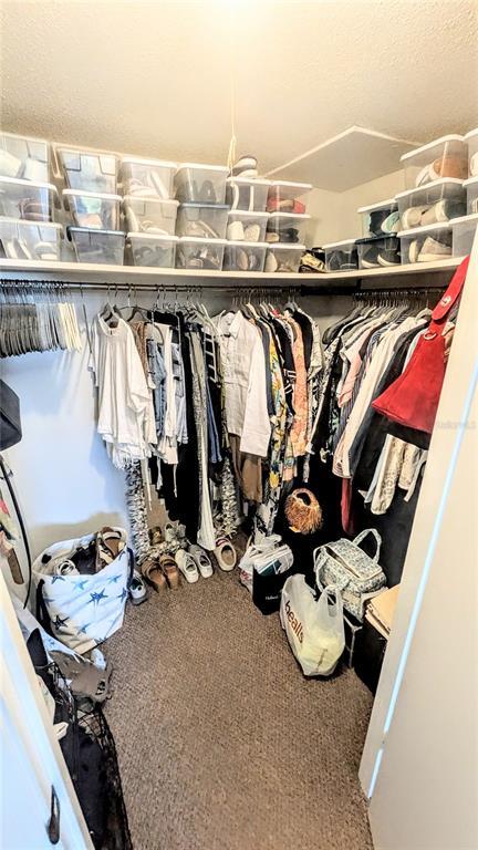 Building Photo - 4822 Ocean Blvd