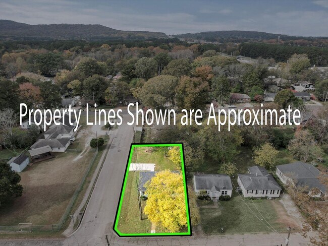 Building Photo - Fully Remodeled Corner-Lot Home Just Minutes from RSA & I-565!