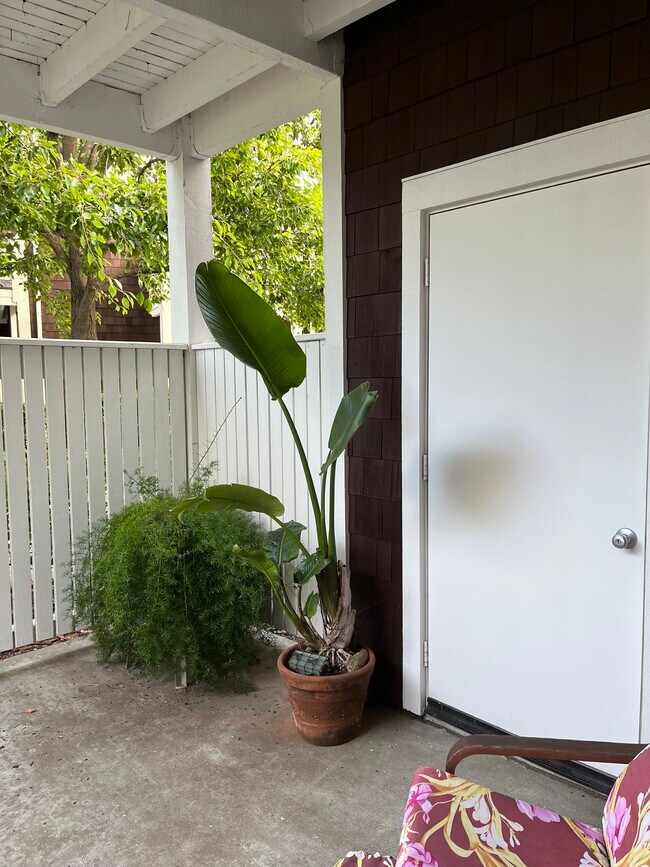 Building Photo - 117 Bayside Ct