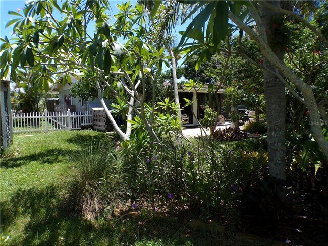 Building Photo - 239 Cocoa Ln