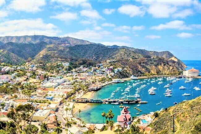 Quick Boat Ride to Catalina - 34 60th Pl
