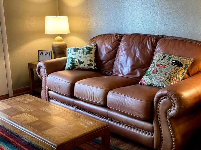 leather couch for comfy streaming - 601 Dave Creek Pky