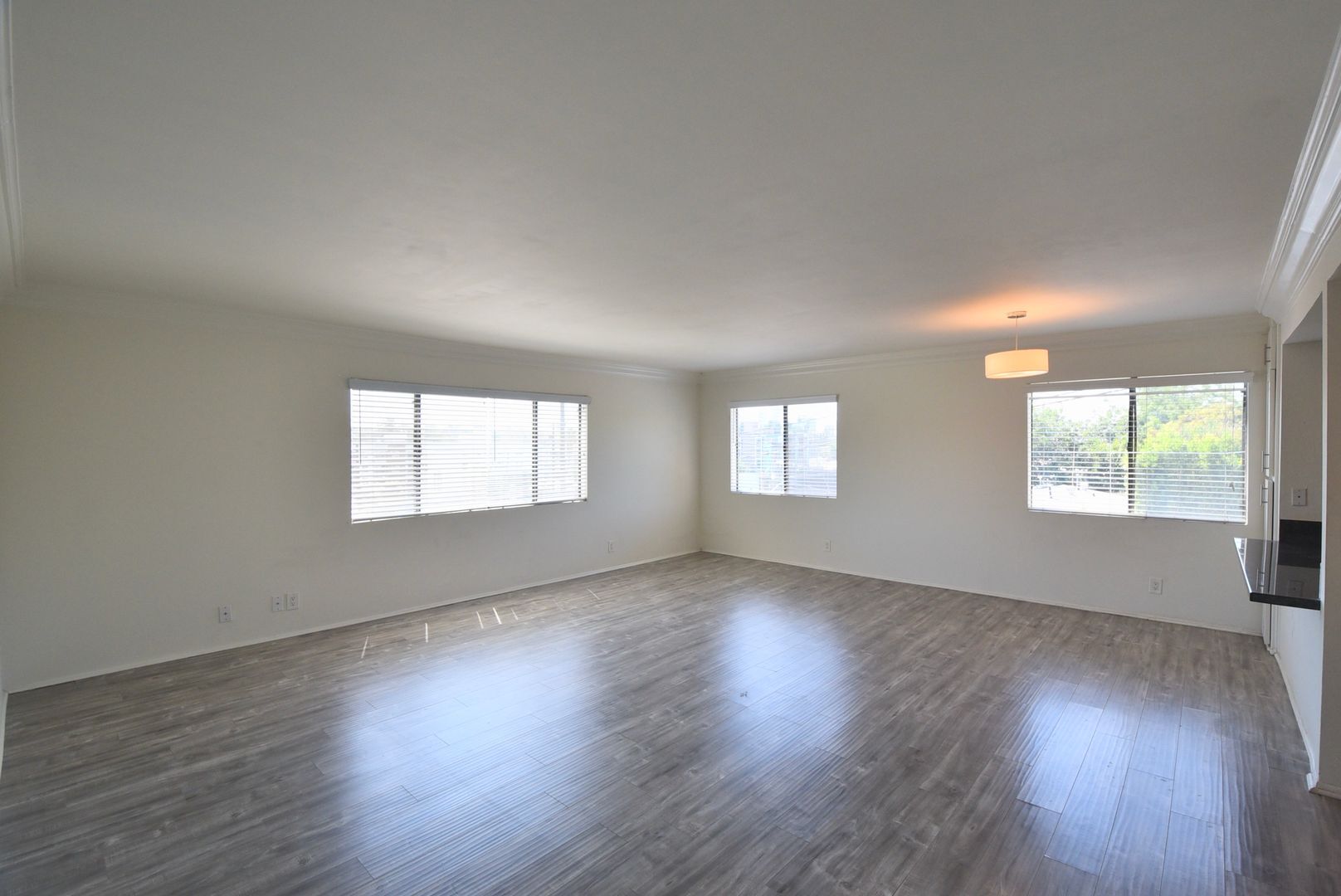 Building Photo - 2119 Elsinore St