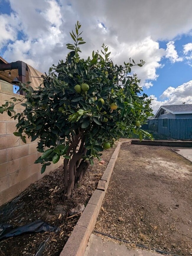 Building Photo - 3 BR / 2 BA Single Story Home in Serra Mesa