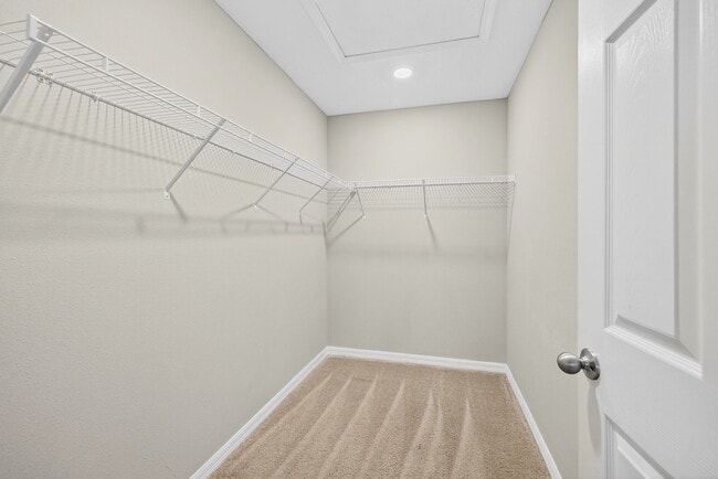 Building Photo - Brand New 4 Bed Now Available!