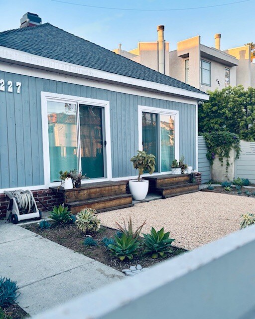 Succulent garden - 227 Bay St