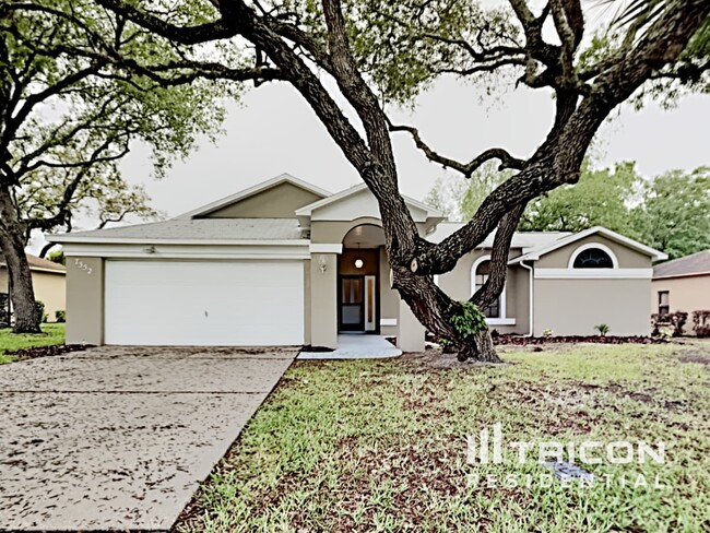 Building Photo - 7352 Cone Shell Dr