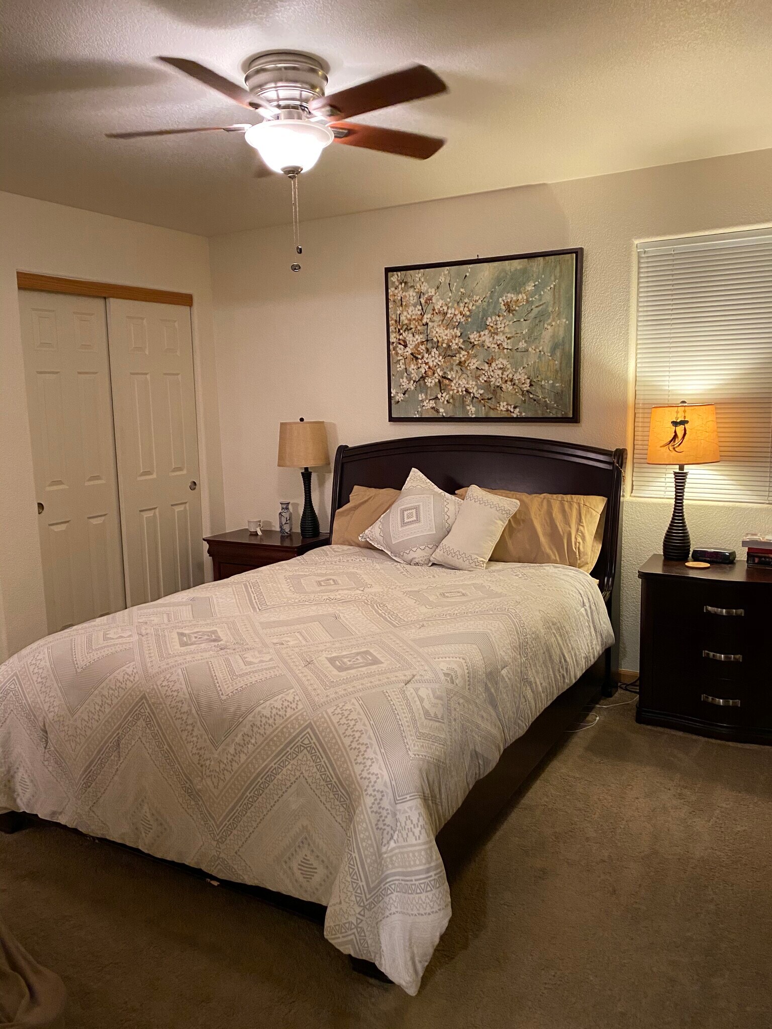 Primary - 3761 Mt Flora St