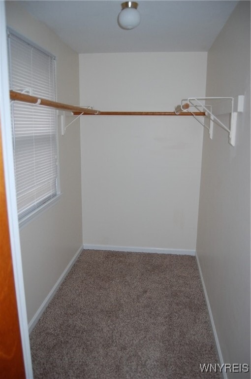 Building Photo - 59 Saber Ln