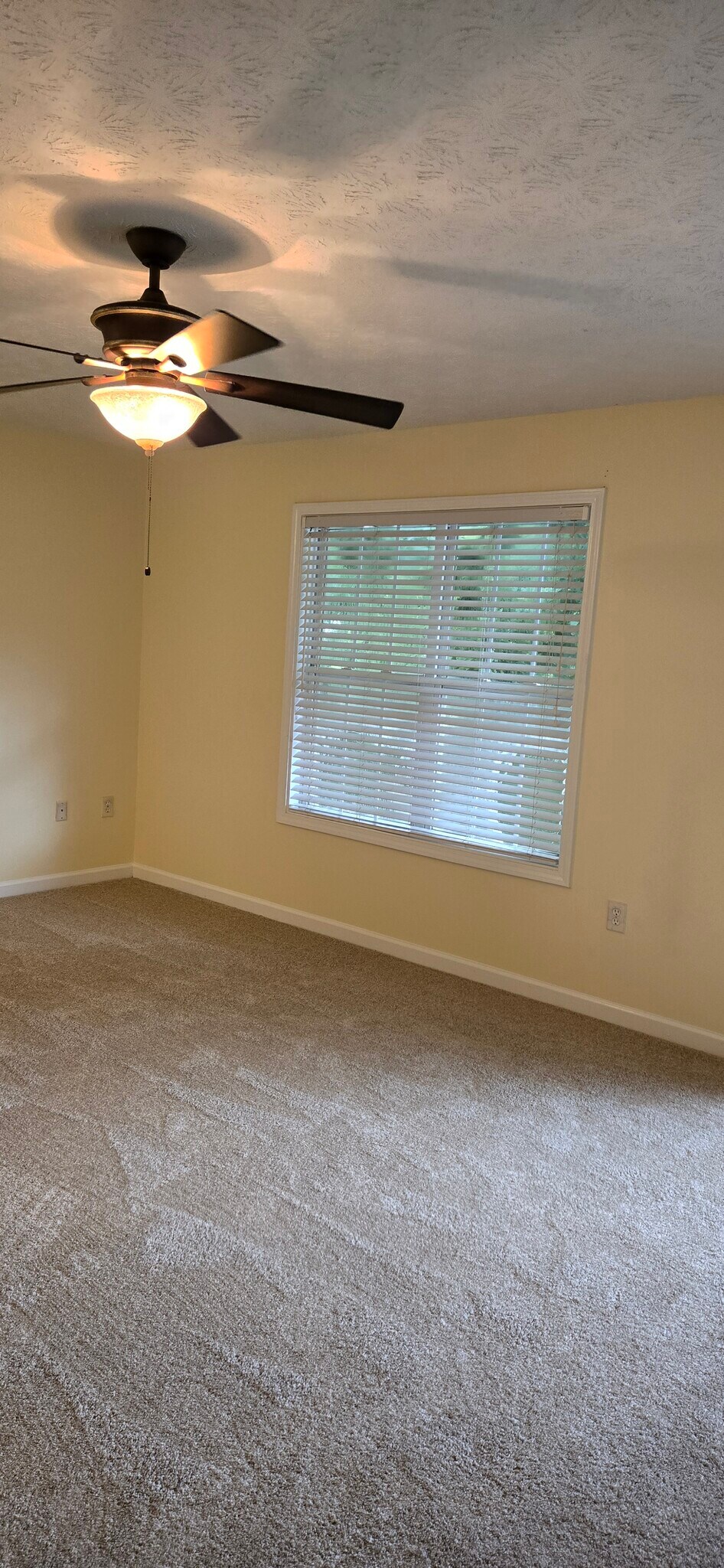 Building Photo - 5074 Leeshire Trce